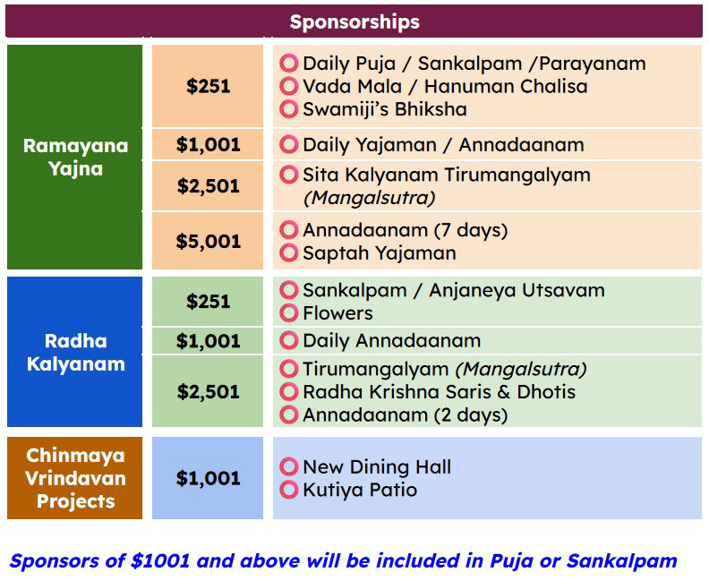 surabhi sponsorships summary v2.jpg